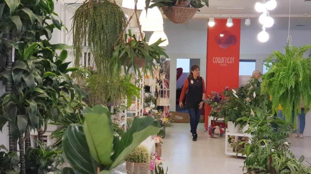 495d602b-f44a-4825-b483-7594c278688f